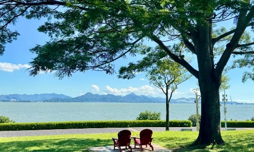 Shenzhen Bay Park tour Shenzhen Bay Park tour